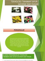 Saya ada menjual pokok hiasan dan pokok utk makan yg pelbagai jenis. Tanaman Hiasan