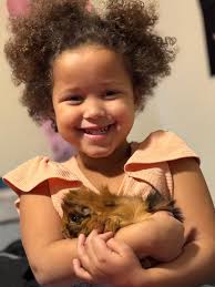 Calling local guinea pig guardians 😍 If you're looking for a local,  independent, small mammal and exotics vet for your routine guinea pig  veterinary care then please get in touch! I'm only