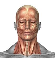 Amazon.com: Póster de Montebelluna Treviso por Alan Blaustein (12 x 12) :  Hogar y Cocina