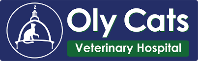 Lacey information shows the planned remodeling work includes adding a post surgery recovery area, new interior construction and the addition of a second. Healthy Pets Animal Hospital Veterinarian In Olympia Wa