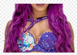 Sasha banks new 2020 png. Sasha Banks Png Wwe Raw Sasha Banks Alexa Bliss Transparent Png 1368x855 244026 Pngfind