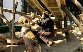 Lake Metroparks see record attendance, programming changes in wake of  pandemic