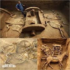 Ancient chariot burial site discovered from bronze age