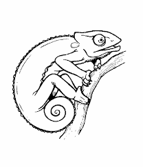 Animal Coloring Pages For Kids Coloring Pages For Kids Animal Coloring Pages Coloring Pages