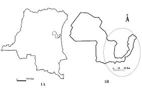 Image result for Arthropteris antun-gupffertiae