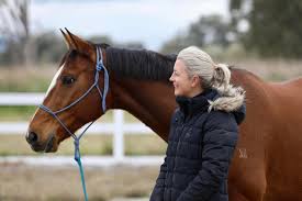 Integrated Veterinary Therapeutics