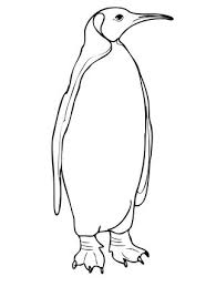 Click To See Printable Version Of King Penguin From Falkland Islands Coloring Page Penguin Coloring Penguin Coloring Pages Bird Coloring Pages