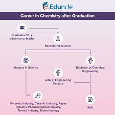 Given below is the lsit of courses after bsc graduation in india. What To Do After B Sc Chemistry Career Options Courses List Jobs
