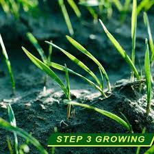 Biodegradable Grass Seed Mat Sallyspicks Grass Seed Mat Grass Seed Biodegradable Products