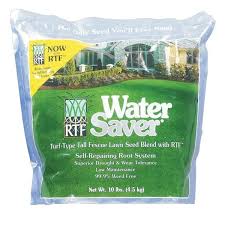 Its deep rooting system enables water saver to tolerate drought and heat exceptionally well. Barenbrug Water Saver Tall Fescue Sun Shade Grass Seed 10 Lb On Sale Overstock 19858785