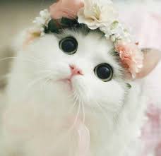 Bagaimana Cara Membuat Saluang Tolong Dijawabnya Cepet Sama Jangan Panjang Pendek Saja Singkat Brainly Co Id