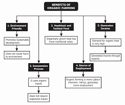 Ideally, this is achieved through the integration of all suitable control techniques in a compatible manner. Organic Farming Meaning Types Advantages Importance Limitations