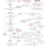 Photosynthesis And Cellular Respiration Flow Chart Diagram