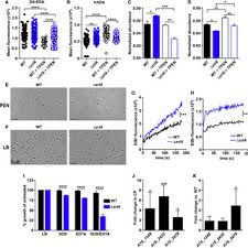 Idec interstate electrical recette avec feuille de brique : Pdf An Acinetobacter Baumannii Zinc Regulated Peptidase Maintains Cell Wall Integrity During Immune Mediated Nutrient Sequestration