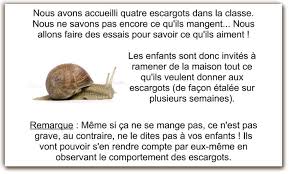 Lancez Vous Dans Un Elevage D Escargots Avec Votre Classe Quelques Avantages Et Inconvenients A Connaitre Avant Elevage Escargot Escargot Escargot Maternelle