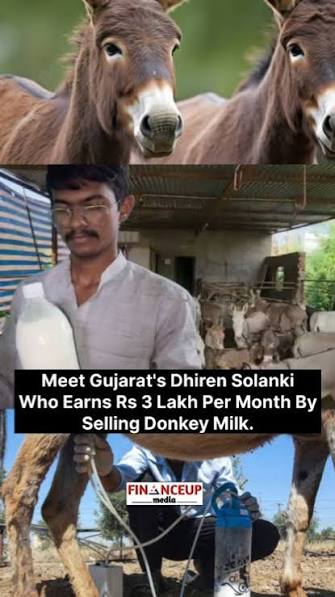 Meet Gujarat's Dhiren Solanki Who Earns Rs 3 Lakh Per Month By Selling Donkey Milk., Dhiren A Solanki from Gujarat's Patan district., when he was unable to find a government job. He did some private ...