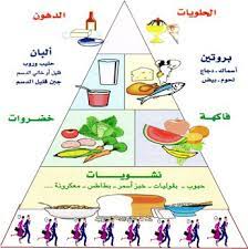 الهرم الغذائي health fitness food health and nutrition workout food