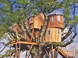 Bildergebnis für cool tree houses