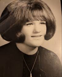 Judith Lynn Shapiro Obituary June 20, 2025