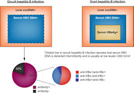 Application of d na molecular marking technology in identif ying chinese herbal medicine l i wen2qiang 1, huan g. Occult Hepatitis B Infection And Hepatocellular Carcinoma Epidemiology Virology Hepatocarcinogenesis And Clinical Significance Journal Of Hepatology
