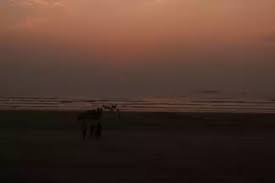 Murud with a backpack - Tripoto