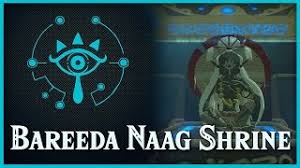 Bareeda Naag Shrine The Legend Of Zelda Breath Of The Wild Wiki Guide Ign This shrine quest can only be done after completing the divine beast vah medoh story quest. bareeda naag shrine the legend of
