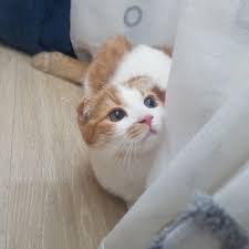 Search for text in url. Mmm Wheebyul ç©º è•ª Yitree S Daydream ç—žå®¢é‚¦