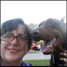 Happy International Dog Day! 🐶