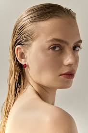 Amber The Nordic Gold