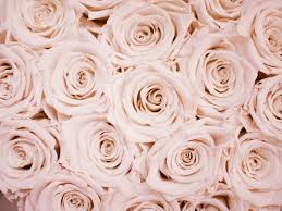 Rose Gold Wallpaper For Chromebook Cdeo adhesive wallpaper supplier official. rose gold wallpaper for chromebook