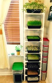 How To Set Up Your Kitchen For Sprouting Hippocrates Health Institute In 2020 Growing Sprouts Indoor Garden Edible Garden