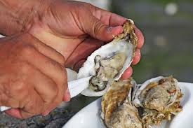 Indulge in oysters at these top nyc spots, and if you plan to enjoy outdoor dining, as always, please wear a mask and social distance responsibly. Best Oyster Bars In Lower Manhattan Duane Street Hotel Blog
