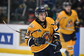 Date of game(s) october 17, 2020. Qmjhl Scoring Leaders Week 9 Theoilknight Ca