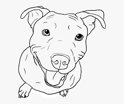 We respect your contribution with pitbull coloring pages free download. Cartoon Pitbull Coloring Page Free Printable Coloring Pages For Kids