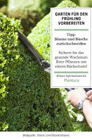 5 Tipps Wie Sie Ihren Garten Aus Dem Winterschlaf Holen Baume Und Straucher Garten Naturnaher Garten Und Garten Ideen