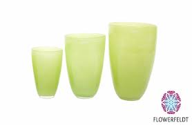 They can be grown to line fences too. Flower Vases Lime Green Flowerfeldt