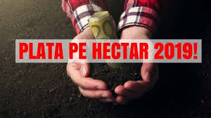 Otp bank romania pune accent pe dezvoltarea portofoliului destinat sectorului agriculturii prin extinderea si personalizarea produselor si serviciilor destinate clientilor din acest. Apia Oficial Cum IncasaÈi SubvenÈia Pe Hectar In 2019 Agroinfo Ro
