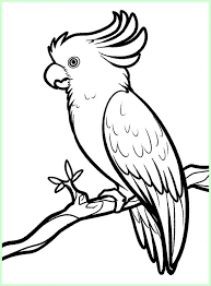 Tugas sekolah untuk mewarnai gambar burung menjadi alternatif yang baik saat ini. Gambar Burung Merpati Putih Kartun