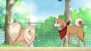 Slice of life, comedy, historical. Judas Oda Cinnamon Nobunaga Season 1 1080p Hevc X265 10bit Multi Subs Nyaa Iss