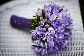 Free Image On Pixabay Marriage Flower Purple Flowers Inexpensive Wedding Gifts Inexpensive Wedding