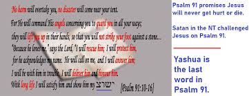 He who abides in me, and i in him, bears much fruit; The Bible S Scientific Absurdities