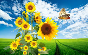 Resultado de imagen de naturaleza imagenes