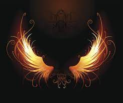 We did not find results for: Fire Wings Yahoo Image Search Results Wings Drawing Wings Png Phoenix Wings