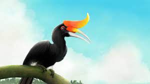 Composed of keratin (made of the same material found in human fingernails), the casque acts as a resonating chamber, amplifying the bird's calls. Malaysian National Bird Wansaf Illustrations Art Street