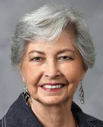 Mayor Dailly, incumbent trustees, clerk seeking reelection in Schaumburg