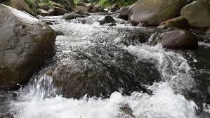 Sungai yang mengalir di kampung ini menyebabkan banyak resort serta chalet yang dibangunkan seterusnya menjadi tempat rekreasi dan tumpuan. 11 Tempat Menarik Di Janda Baik Yang Pasti Buatkan Anda Teruja Bidadari My
