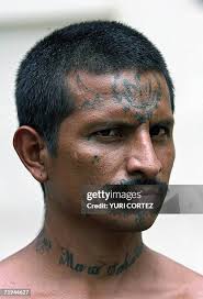 3,671 M16 Stock Photos, High-Res Pictures, and Images