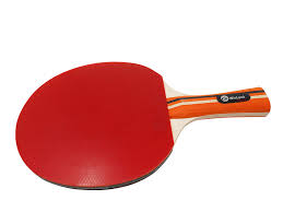 17 Best Ping Pong Paddles Reviews Killerspin Butterfly