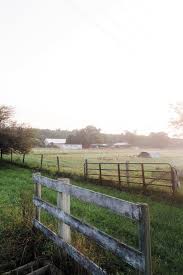 Find up to four landscaping pros. Green Acres Richmondmagazine Com