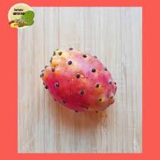 Thanks for commenting, upvoting and resteeming this post! 24 Tortoise Superfood Opuntia Ficus Indica Prickly Pear Cacti And Much More Ideas Prickly Pear Cactus Prickly Pear Superfood